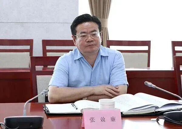 开云体育登录入口-“官迷心窍”“结交政治骗子”的张效廉，在市长、省委常委等任上，敛财数额特别巨大！